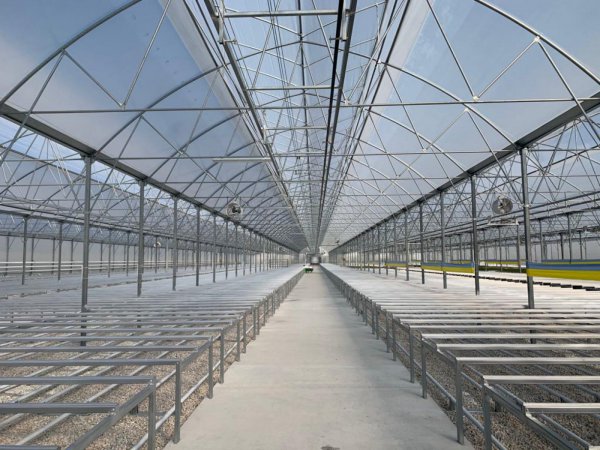 Sera Çeşitleri Fide Serası